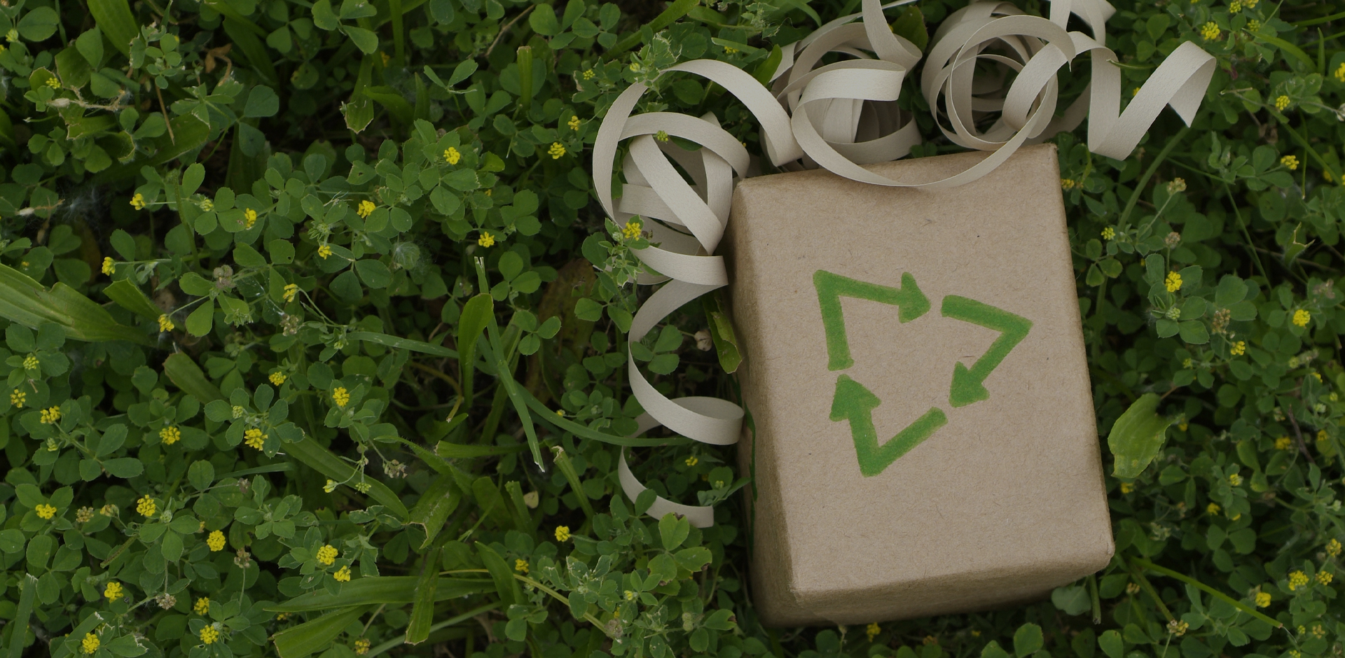 Wenchen Packaging Builds a Sustainable Ecology With You
